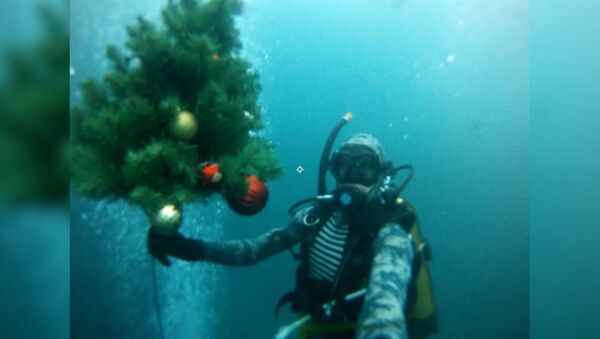 Дайверы погрузили новогоднюю елку под воду Голубого озера - Sputnik Абхазия
