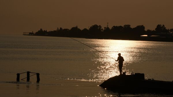 Рыбак на закате - Sputnik Абхазия