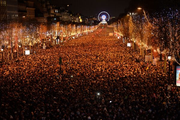 Празднование Нового года в Париже - Sputnik Абхазия