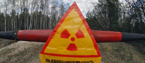 Зона отчуждения вокруг ЧАЭС Зона отчуждения вокруг ЧАЭС - Sputnik Абхазия