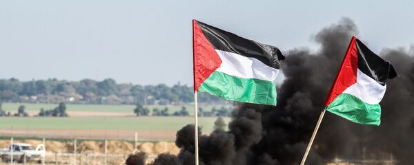 Палестинские демонстранты размахивают национальным флагом у границы между Израилем и Сектором Газа - Sputnik Абхазия