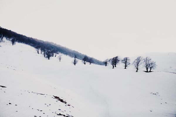 Зима в горах Осетии - Sputnik Абхазия