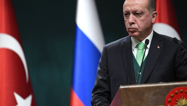 Рабочий визит президента РФ В. Путина в Турцию - Sputnik Абхазия