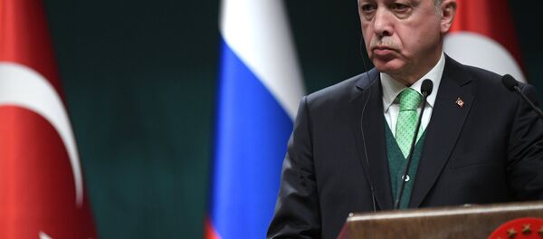 Рабочий визит президента РФ В. Путина в Турцию - Sputnik Абхазия