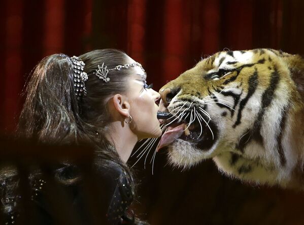 Выступление Кармен Зандер с тигром на Международном цирковом фестивале в Монако - Sputnik Абхазия