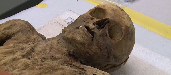 В Швейцарии показали мумифицированного родственника Бориса Джонсона В Швейцарии показали мумифицированного родственника Бориса Джонсона - Sputnik Абхазия