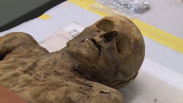 В Швейцарии показали мумифицированного родственника Бориса Джонсона - Sputnik Абхазия