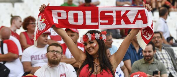 Футбол. Чемпионат Европы - 2016. Матч Польша - Португалия Футбол. Чемпионат Европы - 2016. Матч Польша - Португалия - Sputnik Абхазия