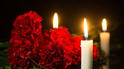 Гвоздики и свечи