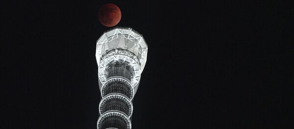 Полная луна на фоне башни Sky Tree в Токио, Япония Полная луна на фоне башни Sky Tree в Токио, Япония - Sputnik Абхазия