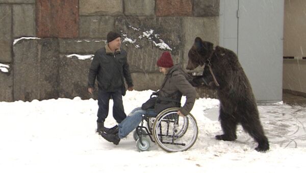 Цирковой медведь Яша помог забрать из больницы дрессировщика - Sputnik Абхазия