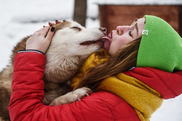 Девушка на территории парка Сокольники во время общения с собакой породы хаски - Sputnik Абхазия