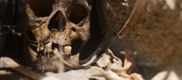 Древний череп Древний череп - Sputnik Абхазия