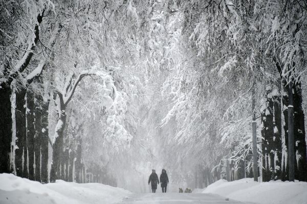 Заснеженная аллея на Воробьевых горах во время снегопада - Sputnik Абхазия