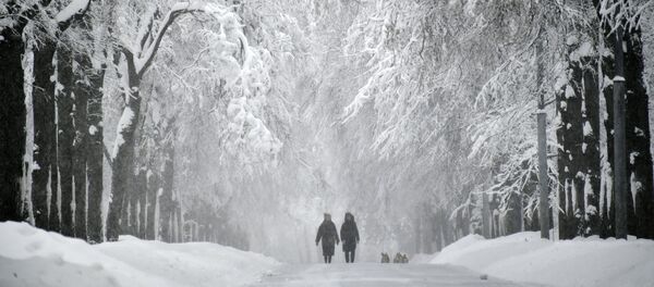Заснеженная аллея на Воробьевых горах во время снегопада Заснеженная аллея на Воробьевых горах во время снегопада - Sputnik Аҧсны