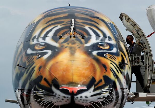 Самолет Embraer E-190 E2 с изображением морды тигра на носу на авиашоу в Сингапуре - Sputnik Абхазия