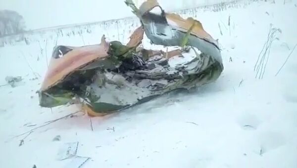 Видео с места падения пассажирского самолета Ан-148 в Подмосковье - Sputnik Абхазия