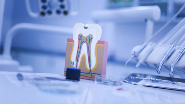 Схема зуба в стоматологическом кабинете - Sputnik Абхазия