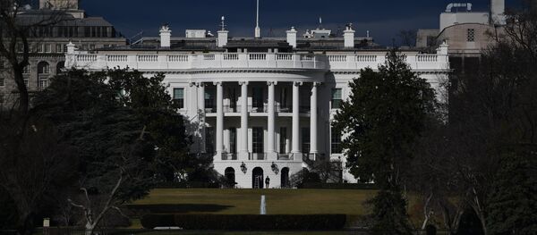 Вид на Белый дом в Вашингтоне - Sputnik Абхазия