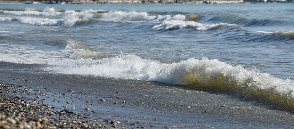 Черное море - Sputnik Абхазия