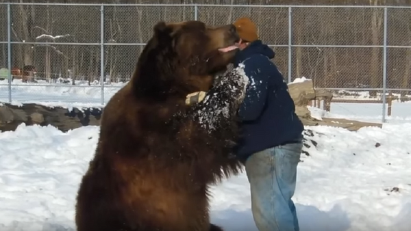 Медведь обнимается с мужчиной - Sputnik Абхазия