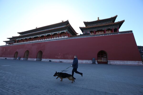 Тренировка охранных собак в Запретном городе в Пекине - Sputnik Абхазия