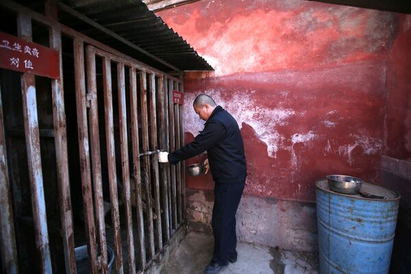 Кормление охранных собак в клетке Запретного города в Пекине - Sputnik Абхазия
