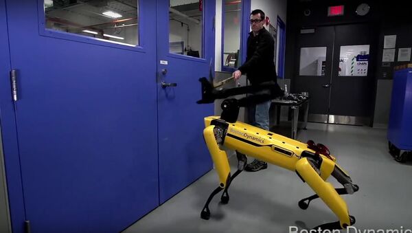 Компания Boston Dynamics продемонстрировала испытания собаки-робота SpotMini - Sputnik Абхазия