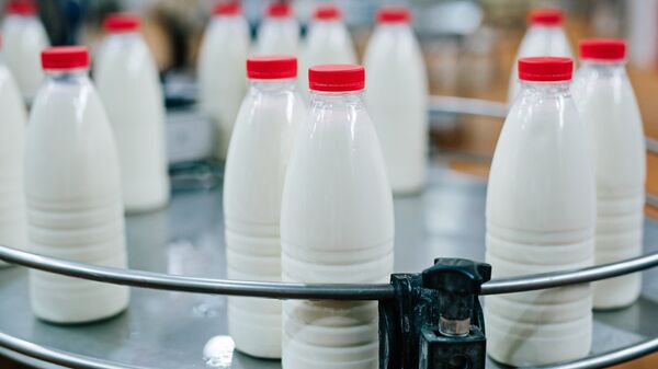 Молочная продукция - Sputnik Аҧсны