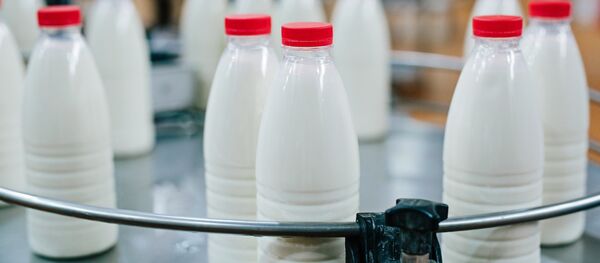 Молочная продукция - Sputnik Абхазия