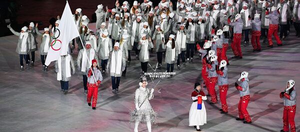 Церемония открытия XXIII зимних Олимпийских игр Церемония открытия XXIII зимних Олимпийских игр - Sputnik Абхазия