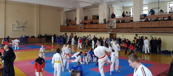 Открытый чемпионат в Ростовской области по Косики каратэ Открытый чемпионат в Ростовской области по Косики каратэ - Sputnik Аҧсны