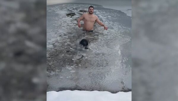 Канадец спас провалившуюся под лед собаку - Sputnik Абхазия