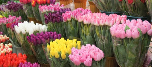 Цветы - Sputnik Абхазия