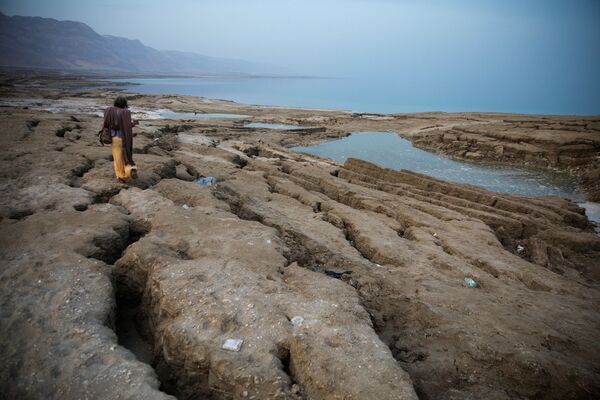 Авраам ходит по берегу Мертвого моря недалеко от Меццока Драго, Израиль, Западный берег - Sputnik Абхазия