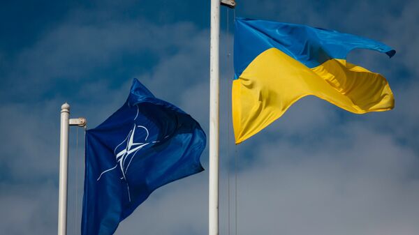 Флаг Украины и НАТО - Sputnik Абхазия
