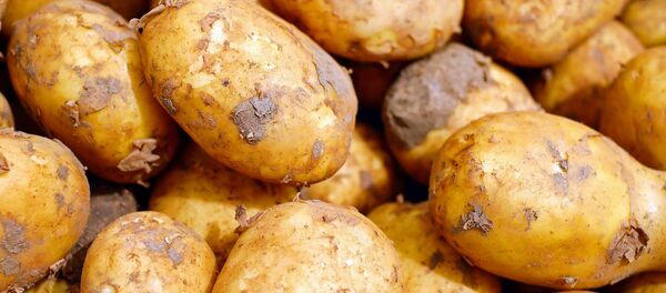 Картофель - Sputnik Абхазия