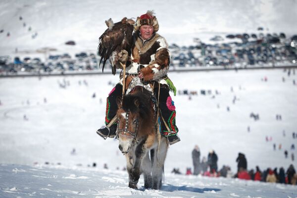 Весенний орлиный фестиваль в Монголии - Sputnik Абхазия