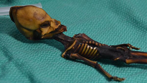 Атакамский гуманоид, найденный в 2003 году в пустыне в Перу - Sputnik Абхазия
