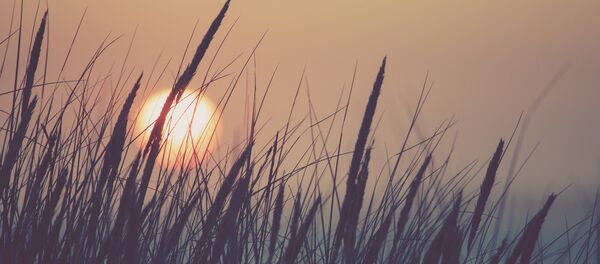 Солнце Солнце - Sputnik Аҧсны