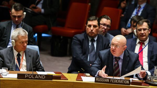 Постоянный представитель Российской Федерации при Организации Объединенных Наций Василий Небензя выступает на открытом заседании совета безопасности ООН в Нью-Йорке - Sputnik Абхазия