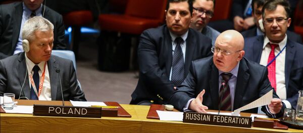 Постоянный представитель Российской Федерации при Организации Объединенных Наций Василий Небензя выступает на открытом заседании совета безопасности ООН в Нью-Йорке Постоянный представитель Российской Федерации при Организации Объединенных Наций Василий Небензя выступает на открытом заседании совета безопасности ООН в Нью-Йорке - Sputnik Абхазия