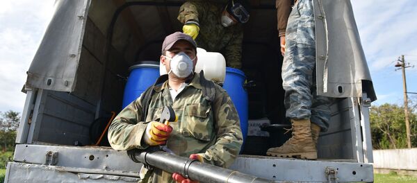 Уничтожение клопов в Адзюбже - Sputnik Абхазия