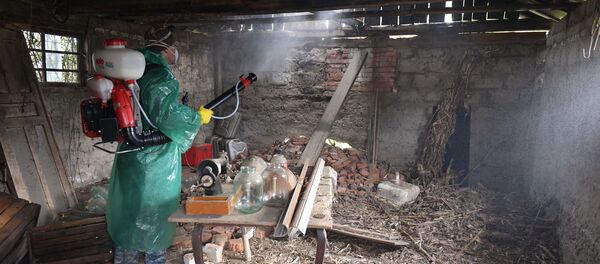 Уничтожение клопов в Адзюбже - Sputnik Абхазия