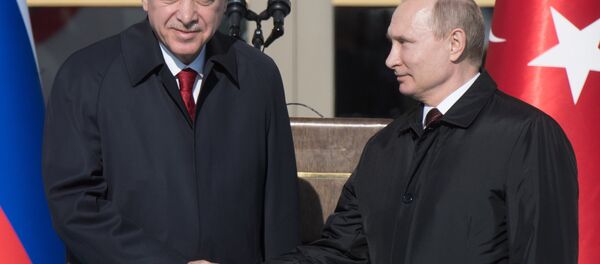 Визит президента РФ В. Путина в Турцию - Sputnik Абхазия