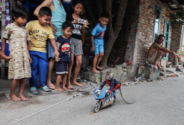 Обезьяна на игрушечном мотоцикле выступает перед детьми в Северной Суматре, Индонезия - Sputnik Абхазия