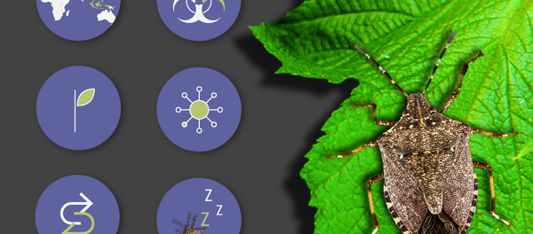 Амармалташьтә пты анырҵәаразы иҟаҵатәу Амармалташьтә пты анырҵәаразы иҟаҵатәу - Sputnik Аҧсны