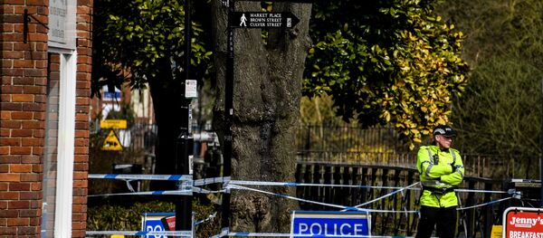 Город Солсбери в Великобритании, где были отравлены С. Скрипаль и его дочь - Sputnik Абхазия
