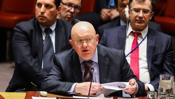 Заседание совета безопасности ООН в Нью-Йорке - Sputnik Абхазия