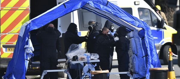 Следственные мероприятие в Солсбери - Sputnik Абхазия